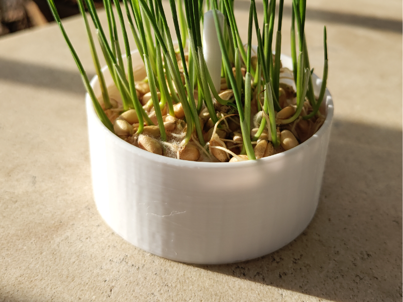 Mini猫草种植器(吃一顿是一顿)
