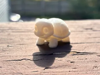 Todd the Turtle