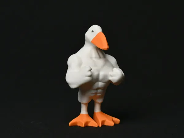https://makerworld.bblmw.com/makerworld/model/DSM00000001838169/design/2025-09-29_0c815d7bdb608.jpg