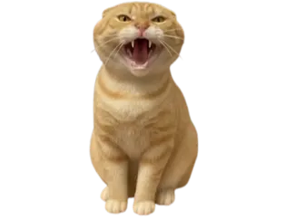 哈气耄耋