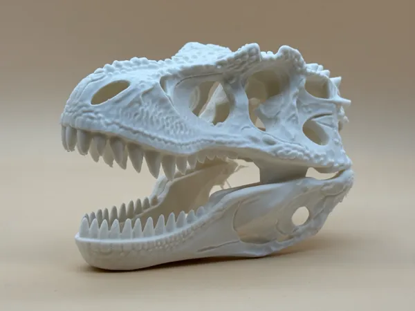https://makerworld.bblmw.com/makerworld/model/DSM00000001838622/design/2025-09-29_77f7a6d67493d8.jpg