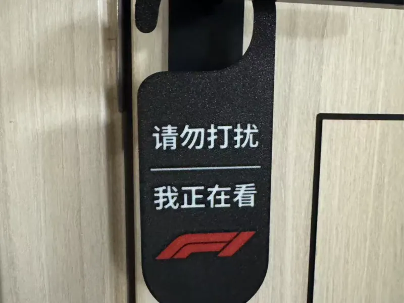 我正在看F1