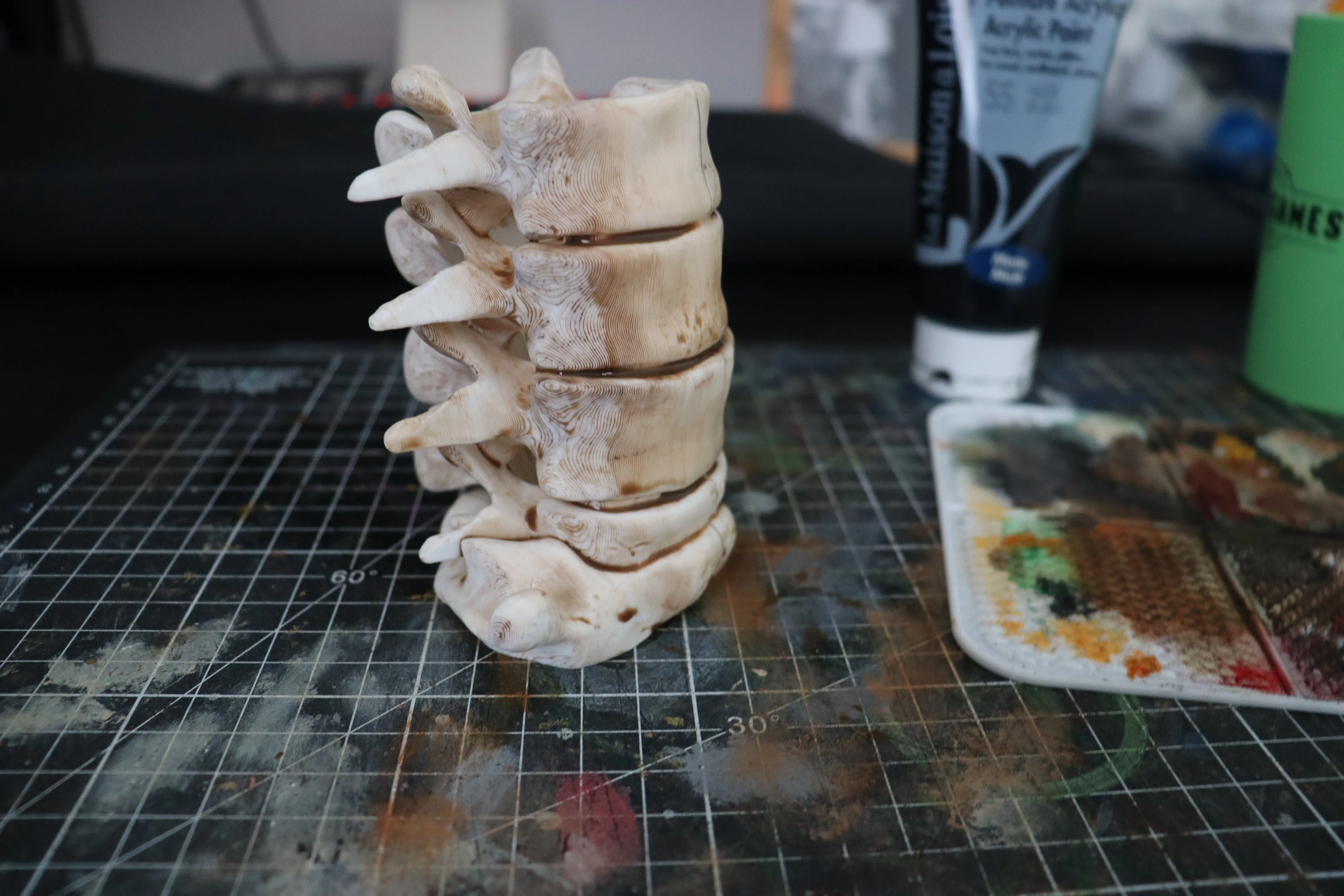 Wipe the excess paint on the bones to keep the paint in the recesses.