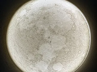 Fullmoon wallmounted lamp
