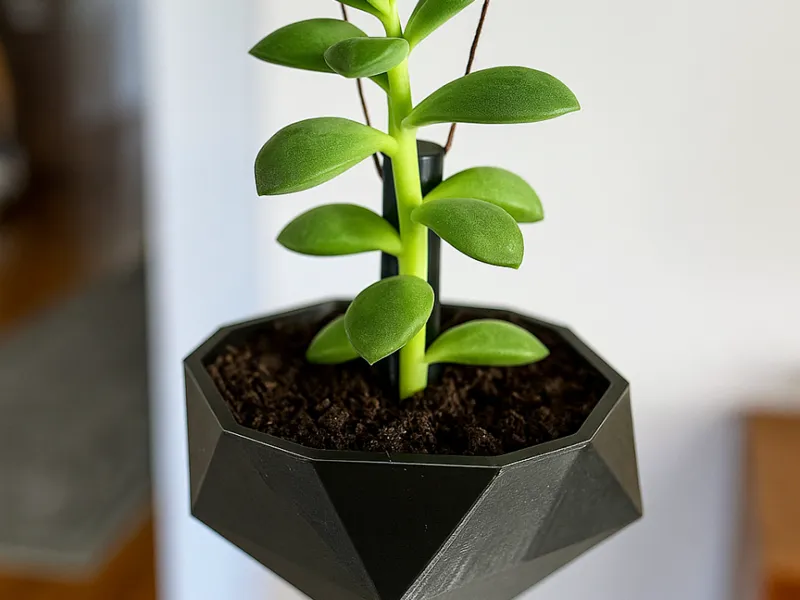 hanging plant pot