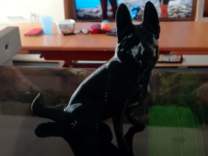 asra der hund