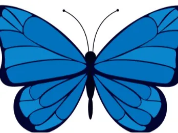 a flexi butterfly