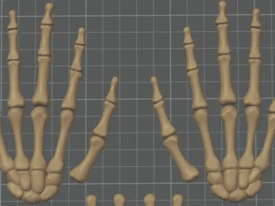 Bone Hands
