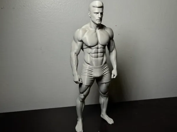 https://makerworld.bblmw.com/makerworld/model/DSM00000001852897/design/698df6d894a55be4.jpeg