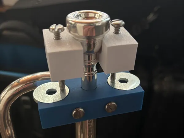 https://makerworld.bblmw.com/makerworld/model/DSM00000001853147/design/2025-10-03_d321ac25a4d6b.png