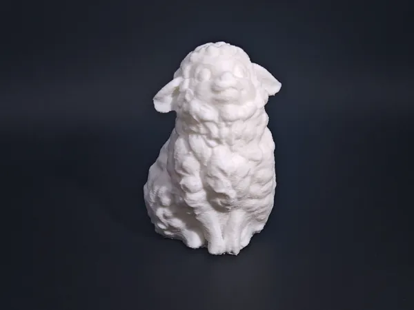 Petit mouton mignon