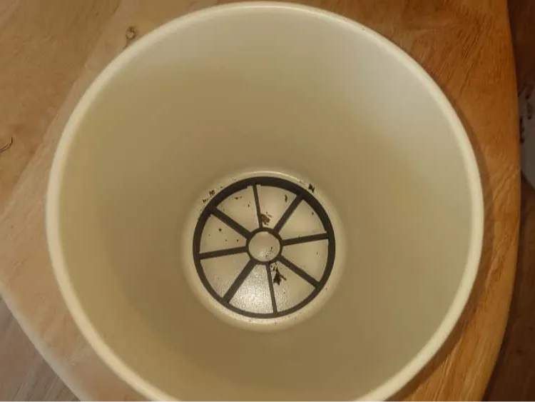 Plant riser