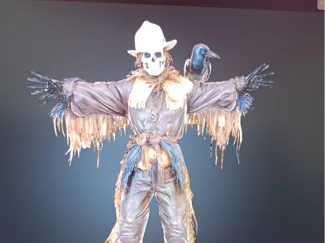 The Cowboy Scarecrow
