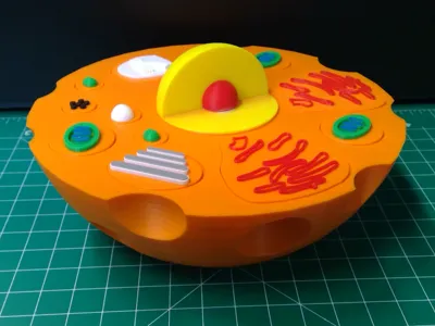 Animal Cell Buildable Model