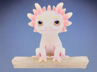 Axolotyl just Chillin'