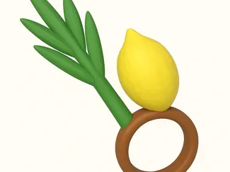 lulav etrog napkin ring