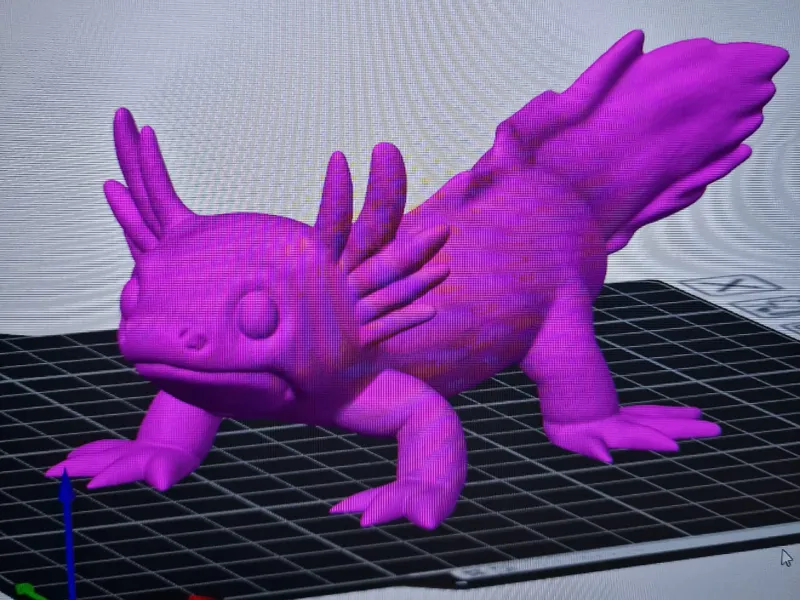 Axolotl