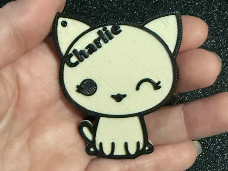 Cat Keychain with name