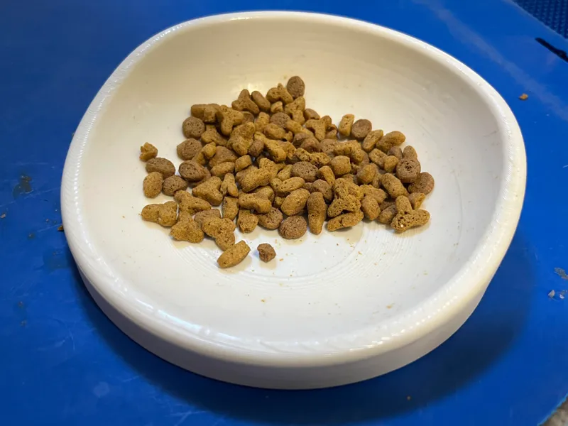 Whisker-Friendly Cat Food Bowl