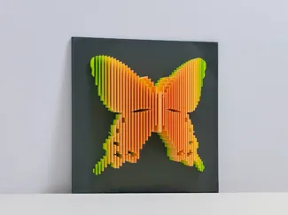 分层蝴蝶挂画