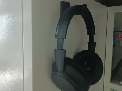 Earphone hook
