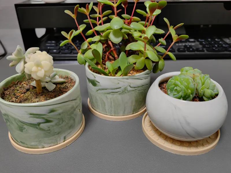花盆托盘