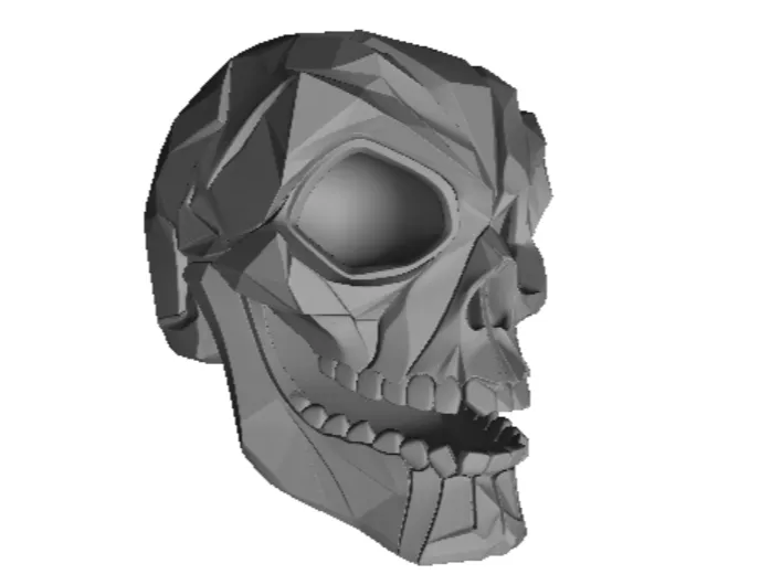Geometric Skeleton