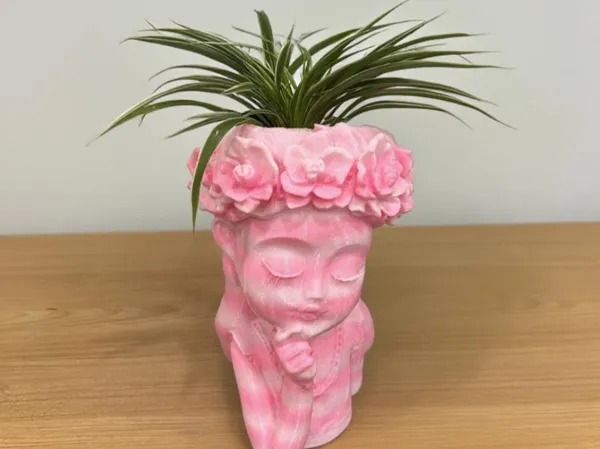 https://makerworld.bblmw.com/makerworld/model/DSM00000001870746/design/2025-10-09_6bc7afae40419.png