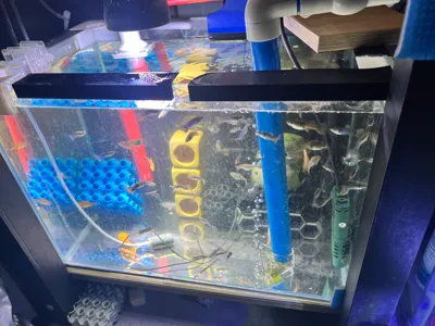 Aquarium escape prevention