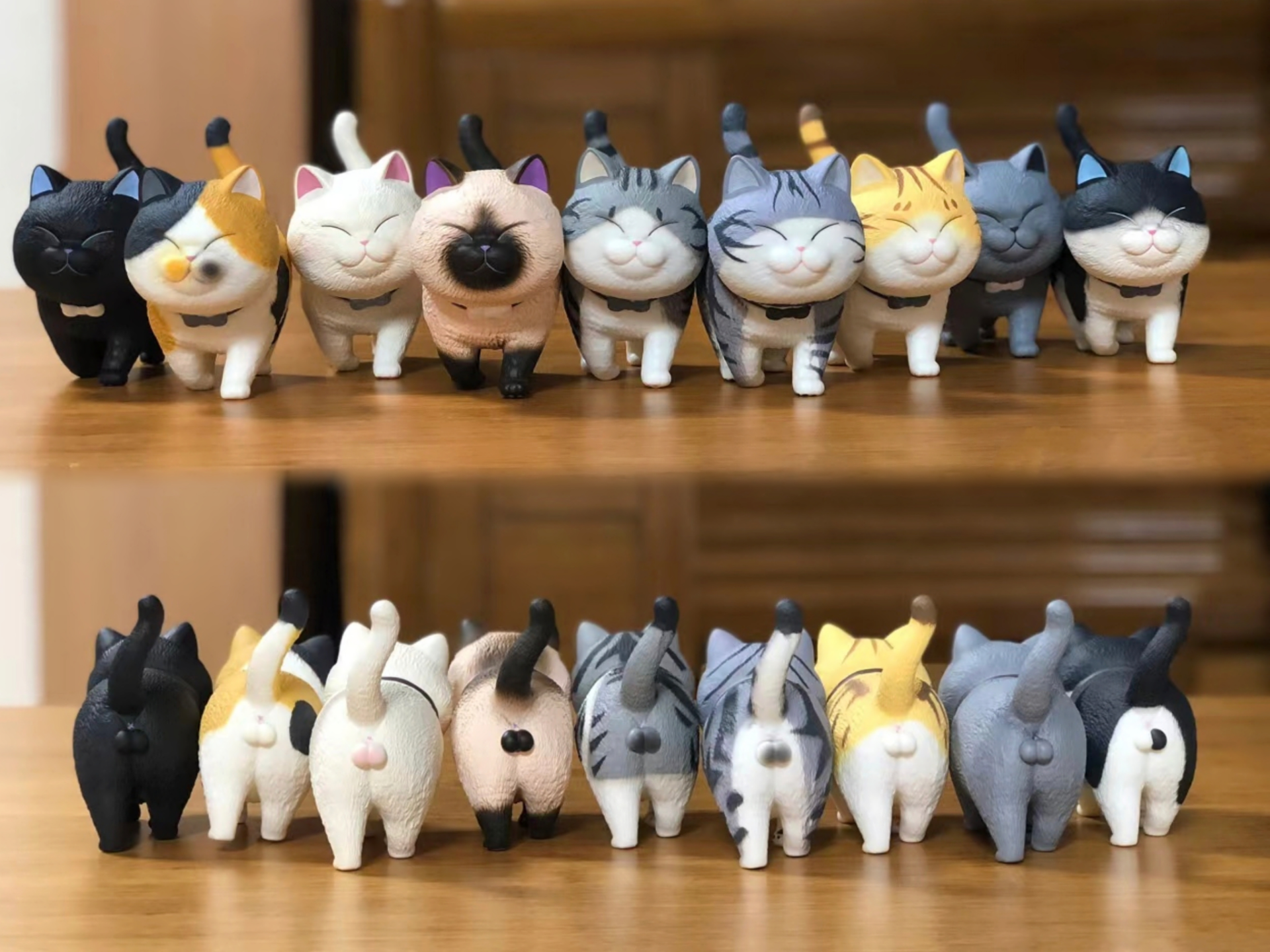 网红猫铃铛-蛋蛋猫