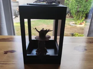 Variables Steck Terrarium Spinne, Mantide etc 