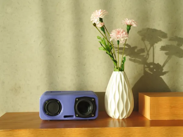 https://makerworld.bblmw.com/makerworld/model/DSM00000001874462/design/2025-10-11_3f44d39c15921.png