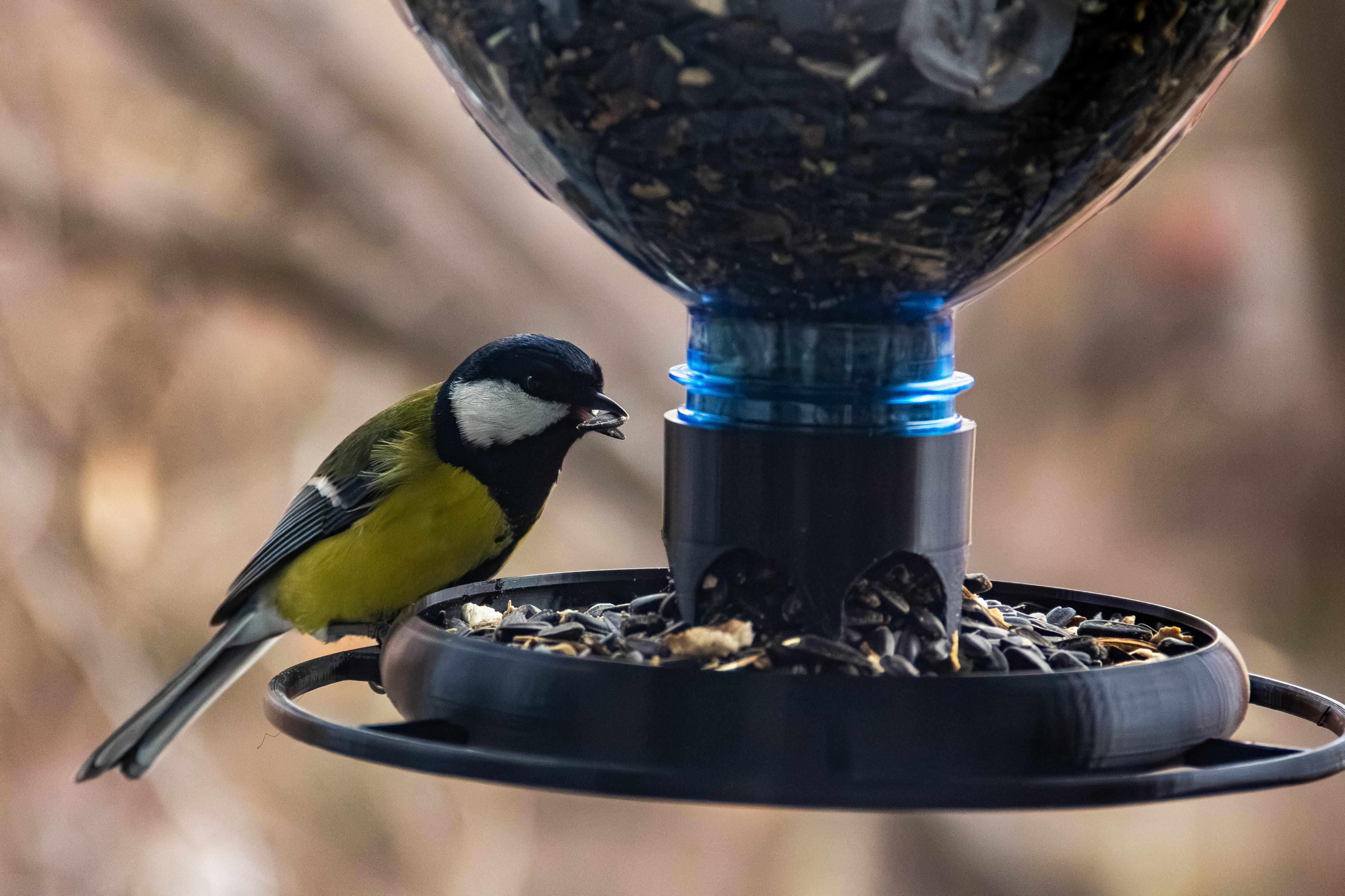 Bird Feeder bottle (wide cap - 48mm)