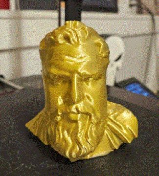 The Bearded man