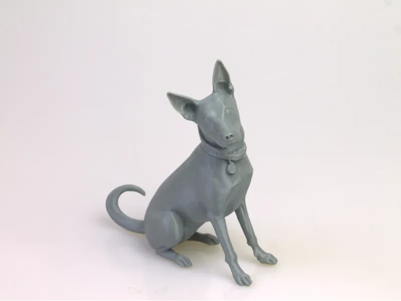 Taiwan Formosan Mountain Dog