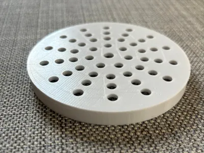 Perforated Plate / Flower Holder