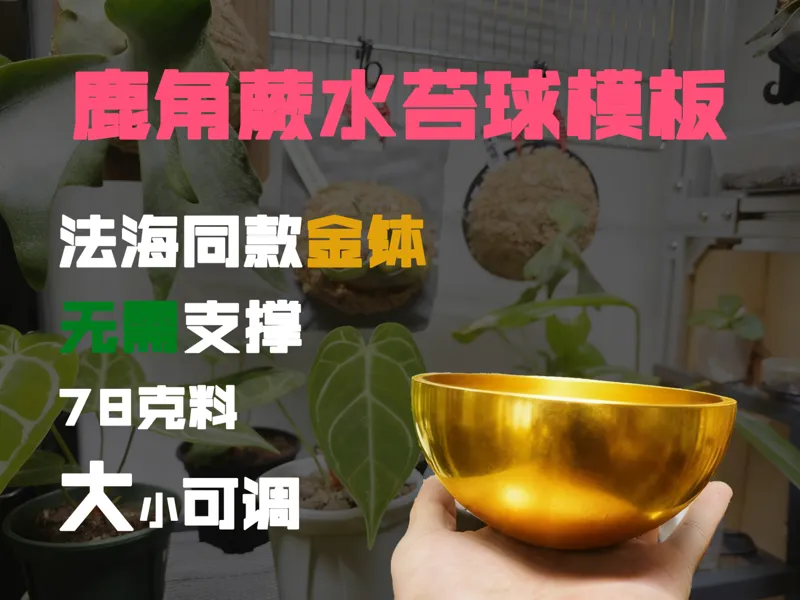 12cm内直径水苔球模具，比我翘T都圆~