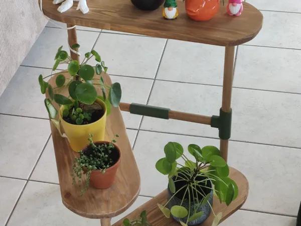 https://makerworld.bblmw.com/makerworld/model/DSM00000001881187/design/2025-10-12_8df316f1c4dd9.jpg