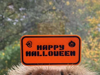 Happy Halloween Schild