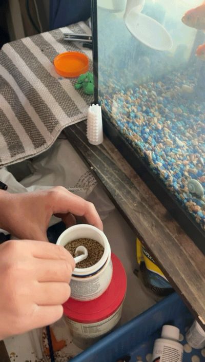 Fish tank pellet scooper