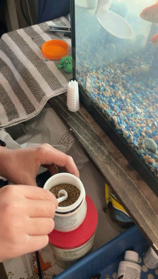 Fish tank pellet scooper