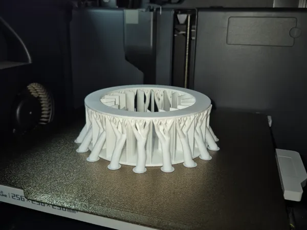 https://makerworld.bblmw.com/makerworld/model/DSM00000001883551/design/2025-10-13_f1796237c1699.jpg