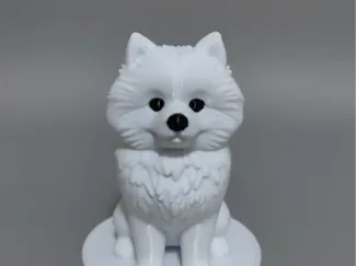 博美犬 可爱的小狗