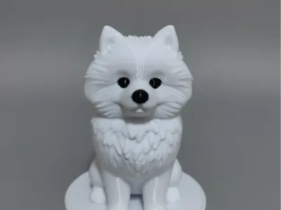 Pomeranian Cute puppy
