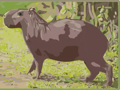 capybara keychain (not flexi)