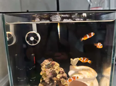 20 square tank aquarium filter freshwater and saltwater universal wet-dry separation customizable modular