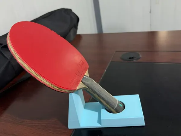https://makerworld.bblmw.com/makerworld/model/DSM00000001885771/design/2025-10-14_a04e65d487f338.jpg