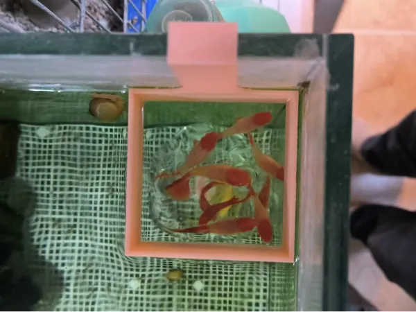 https://makerworld.bblmw.com/makerworld/model/DSM00000001885817/design/2025-10-14_c3d8b5c63989d.jpg