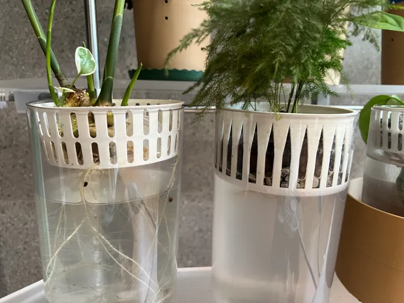 水培定制蓝