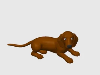 perro salchicha